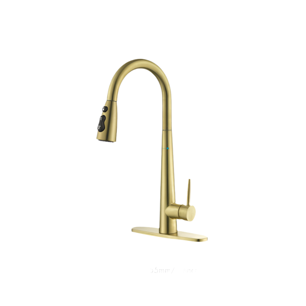 Kitchen Faucet With Pull-down Spray