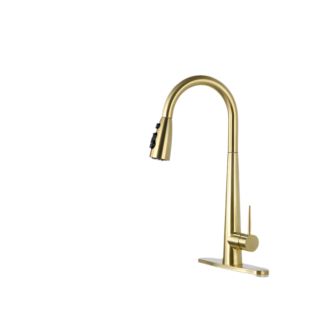 Kitchen Faucet With Pull-down Spray